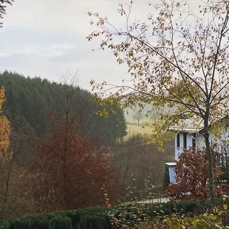 Diemelquelle Holiday home *